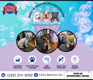 Nails to Tails Pet Spa and Daycare