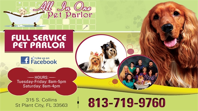 All In One Pet Parlor