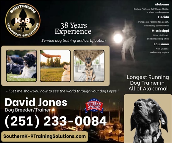 Southern K-9 Training Solutions