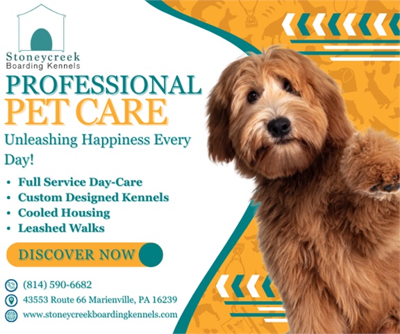Stoney Creek Boarding Kennels