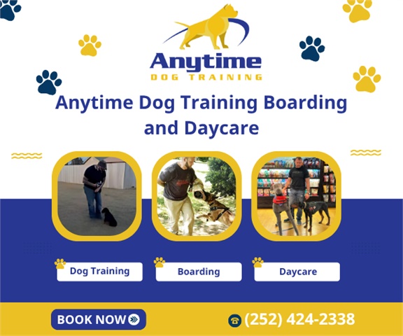 Anytime Dog Training, Boarding and Daycare