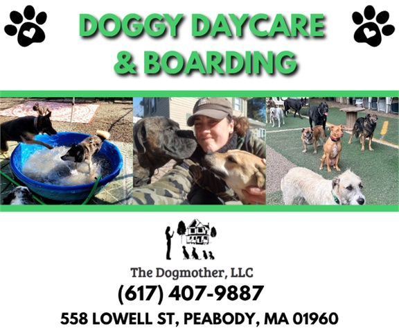 The Dogmother, LLC