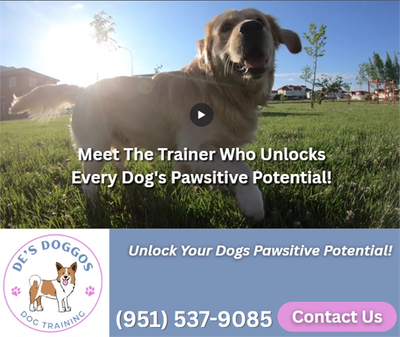 De's Doggos Dog Training