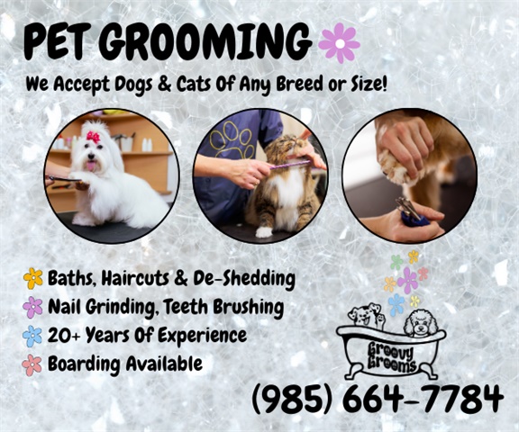 Groovy Grooms