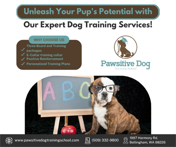 Pawsitive Dog Training School