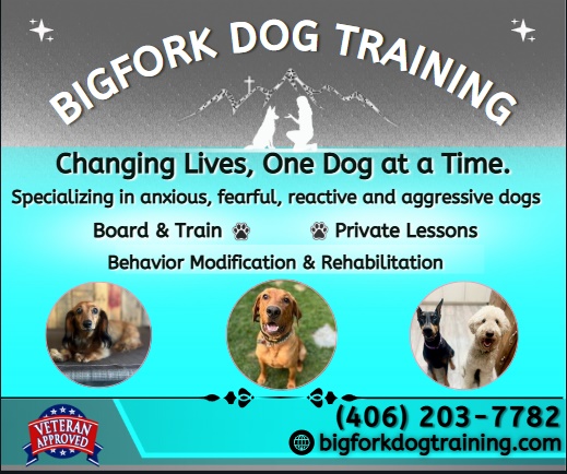 Bigfork Dog Training