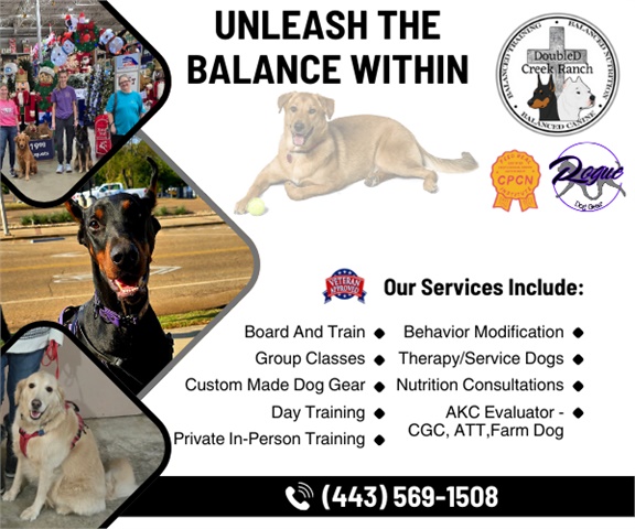 DoubleD Creek Ranch Inc, Balanced Canine Services