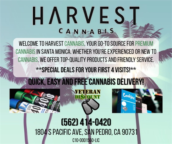 Harvest of San Pedro