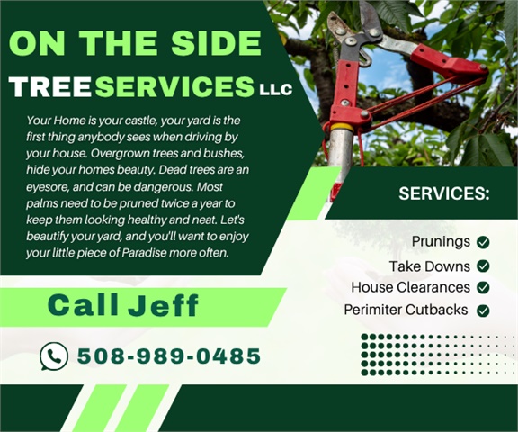 On The Side Tree Services