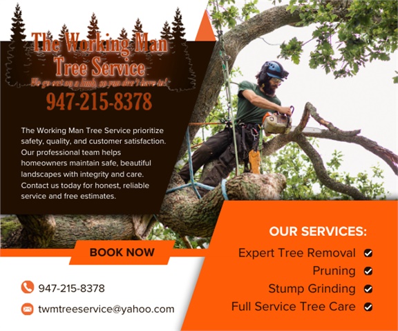 The Working Man Tree Service