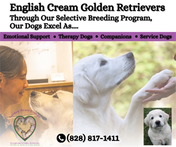 Golden Heart Creams, LLC
