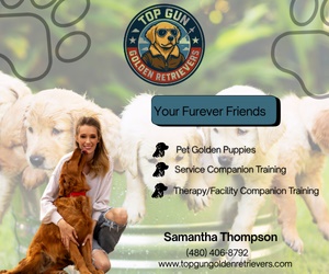 Top Gun Golden Retrievers and  Dog Training LLC