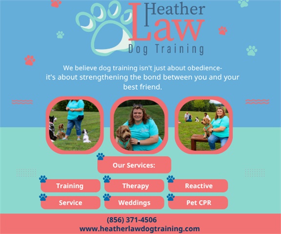 Heather Law Dog Training