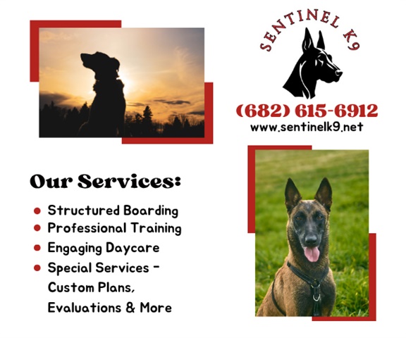 Sentinel K9