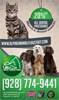Alpine Animal Hospital - Donald S Mac Kenzie DVM