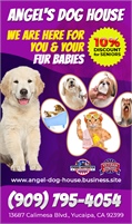 Angel's Dog House