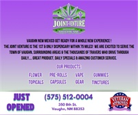 The Joint Venture NM