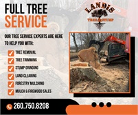 Landis Tree & Stump