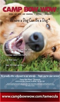 Camp Bow Wow Temecula