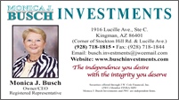 Busch Investments