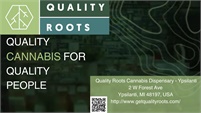       Quality Roots - Ypsilanti