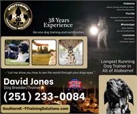 Southern K-9 Training Solutions