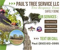 Paul's Tree Service LLC