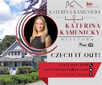 Keller Williams Realty, Inc. - Katerina Kamenicky 