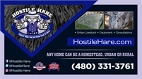 Hostile Hare