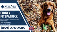 MedVet