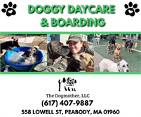 The Dogmother, LLC