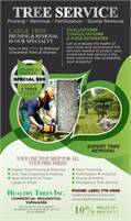   Healthy Trees Inc