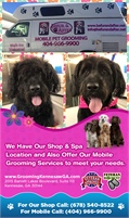 Befur And After Pet Grooming