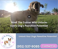 De's Doggos Dog Training