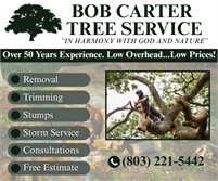 Bob Carter Tree Service