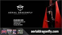 Aerial Dragonfly Movement Studio LLC