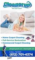 Cleaner Up LLC