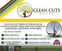 Clean Cuts Trees