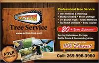 Action Tree Service