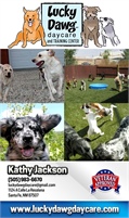 Lucky Dawg Daycare and Training Center