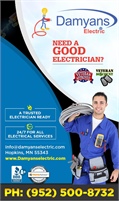 Damyans Electric