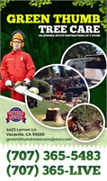  Green Thumb Tree Care