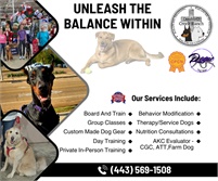 DoubleD Creek Ranch Inc, Balanced Canine Services