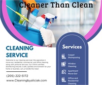 Cleaner Than Clean Cleaning Services LLC