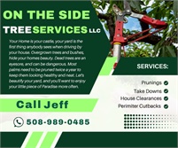 On The Side Tree Services