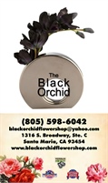 Black Orchid