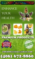 Chronic Caregivers