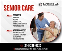 Day Spring Home Health Care LLC