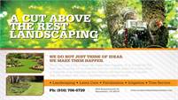 A Cut Above the Rest Landscaping
