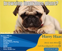 Haas Health and Life Insurance